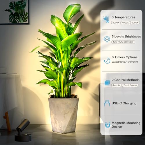 Image of Olafus LED Wireless Spotlight Indoor, Rechargeable Battery Uplighting Indoor with Remote & Timer, 3CCT Picture Lights for Wall, Mini Art Accent Light for Plants, Artwork, Painting, Black