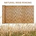 ZNCMRR Natural Reed Fencing Rolls,4FT X 16.4FT Reed Screen Curtain Balcony Reed Fence for Outdoor Backyard Patio（Brown）