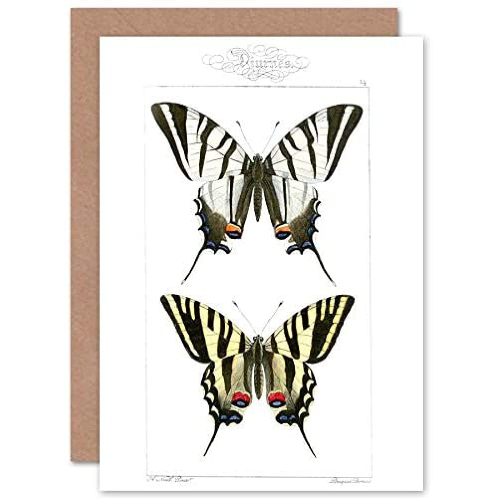 Wee Blue Coo Butterflies Tiger Greeting Card With Envelope Inside Premium Quality