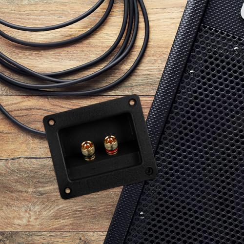 Caja de conexiones de audio con terminal de caja de altavoz de alta fidelidad y aislamiento 5