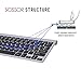 immagine 3Zienstar -2.4Ghz Tastiera Senza Fili con Ricevitore USB per Windows/iOS/Linux e Android Smart TV -Italiano Layout (G03 Nero)