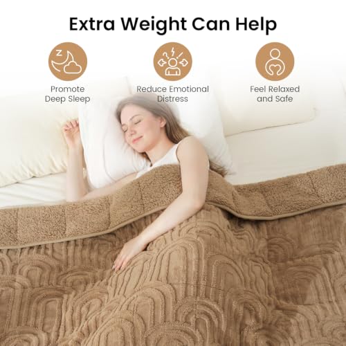 Image of Drewin Weighted Blanket for Adults Queen Size 15lbs, Soft Cozy Turtleback Sherpa Weighted Blankets for Sleeping and Calming, Thick Bed Blanket for Couch Bed, 60 x 80 inches, Brown