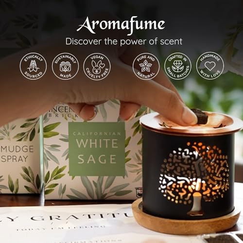Aromafume Mattoni di Incenso Salvia Bianca e