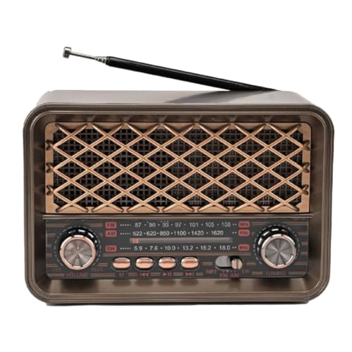 Radio portable classique avec Bluetooth haut-parleur LED FM AM SW