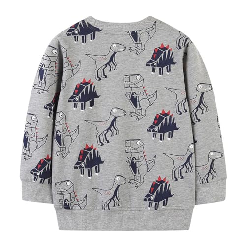 Boys Sweatshirts Long Sleeve Sweatshirts T-shirts Crew Neck Cotton Casual Sweatshirts Cartoon Tops for Boys-1342