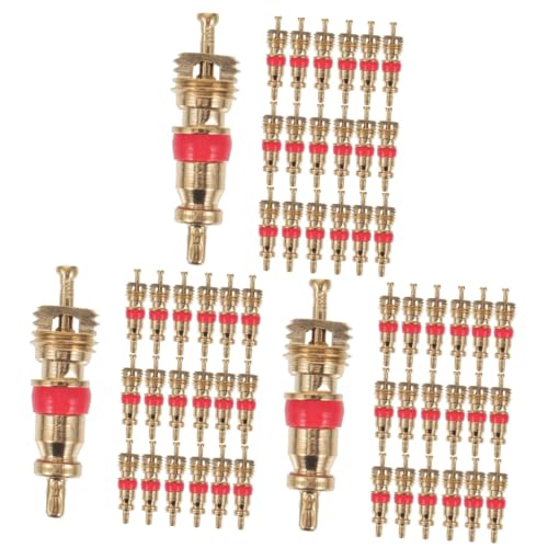Healifty 3sets Bicycle Valve Core Replacement Bike Valve Tire Caps Bike Accessories (a/v) 50pcs*3