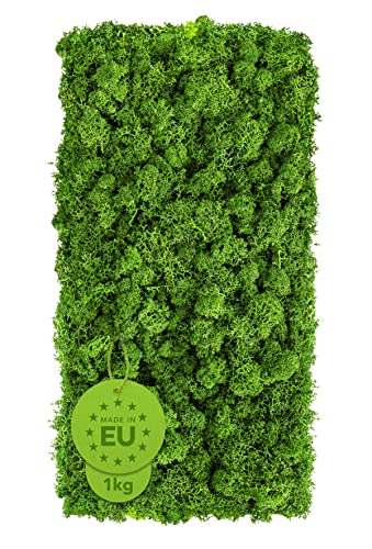 PURE LIVING INTERIOR DESIGN Premium Islandmoos 1kg, waldgrün - EU-Qualität, Vielseitig einsetzbar, Schwer entflammbar - Moos konserviert zum Basteln, Natur Moos Deko, Ostern Cover