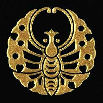 51j9E57RXmL._AC_UF350,