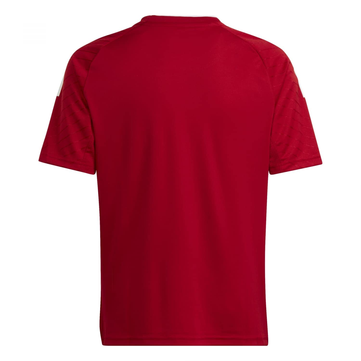 adidas Campeon 23 Jsyy Jersey (Short Sleeve) Unisex niños