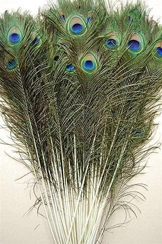 Original Peacock More Pankh Eye Feather Full Length Size 24 Inch (Green Color) Pack of 21 Pieces by The Great Indian Store