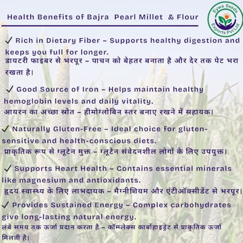 Image of Eywa Seeds Organic Bajra Flour (10 Kg) For Eating And Cooking|Pearl Millet Grains|Produce Of India From Organic Farms