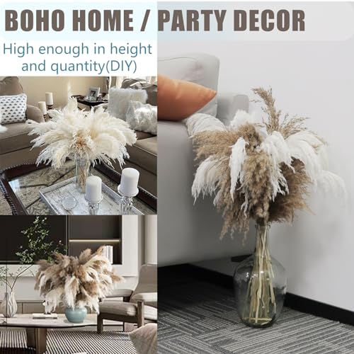 Image of 30 Stems 28 inch Boho Decor Tall - Dried Pampas Grass, Brown & White Pampas Grass Fluffy Large, Dry Flowers, Tall Pampas Bulk for Room Decor, Home Decor Floor,Wedding Decor