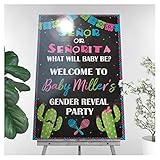 Fiesta Gender Reveal, Cactus, Señor or Señorita Gender Reveal Fiesta, Mexican Theme Gender Reveal Sign, Personalized Fiesta Banner, Handmade Party Decorations