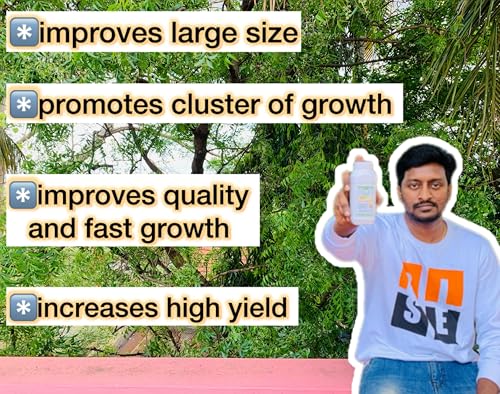 Image of Coconut Booster -Coconut plant growth booster|Nutrition Liquid|Plant growth Booster|Bio-Stimulator for Faster Growth-growth regulator (1000 ml)