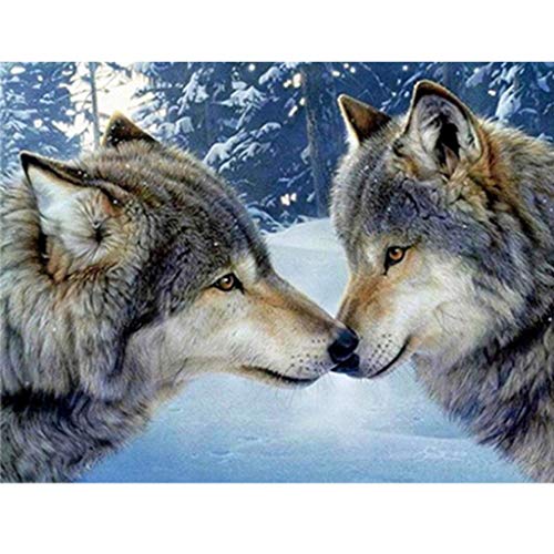 MOTOCO Les peintures carrées de Broderie de Foret Plein 5D Diamant DIY Broderie Diamant Diamond Painting kit Broderie(D:Wolf)