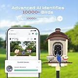 Zoom IMG-1 loirepint mangiatoia intelligente per uccelli Zoom IMG-1 loirepint mangiatoia intelligente per uccelli