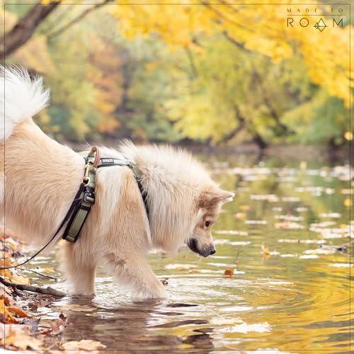 MADE TO ROAM Premium Explorer Harness - Y-Shaped Dog Harness with Adjustable Durable Nylon, Soft Padding, Metal Buckles and Leather Handle for Small, Medium, Large Dogs (Colorado Nightsky, Size 5) by MADE TO ROAM - Image 3