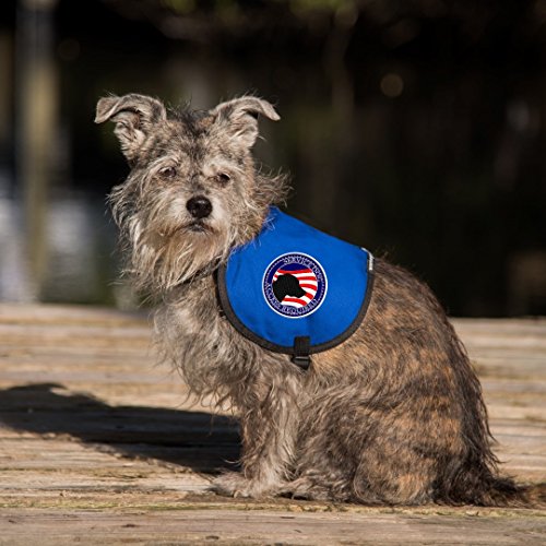 Workingservicedog.com Service Dog Patriotic Vest Patch - Includes Five Service Dog Law Handout Cards – For Service Dog Vest Or Harness #TOP7