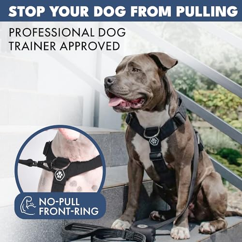 Image of Spark Paws No Pull Dog Harness with Handle for Large Dogs, Heavy Duty Dog Harness for Big Strong Breeds, Adjustable, Y Shaped Padded Halter Design with Front Clip - Black - L