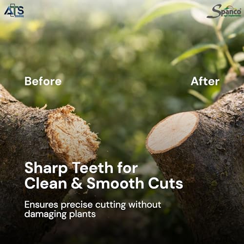 Image of Spanco Pruning Saw with Stainless Steel Double Action Teeth & Soft Fixed Handle | Heavy Duty Saw For Cutting Branches &Trimming | Tools for Lawn & Gardening (SPS-113)