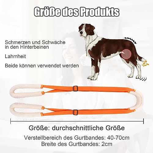 Lollanda Gehhilfe für Hunde Hinten, Tragehilfe für Hunde, Hundegeschirr für Die Hinterbeine, Gehhilfe Hunde zum Unterstützung für Kranke Hund, Älterer Hund, Fördert die Mobilität des Hundes (Orange)