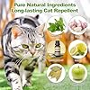 apohen Cat Repellent Outdoor to Keep Cats Away, Natural Peppermint Oil Cat Deterrent Outdoor and Indoor, Keep Cats Out of Yard Permanently, Protect Your Yard and Furniture (10 Count (Pack of 1)) #1