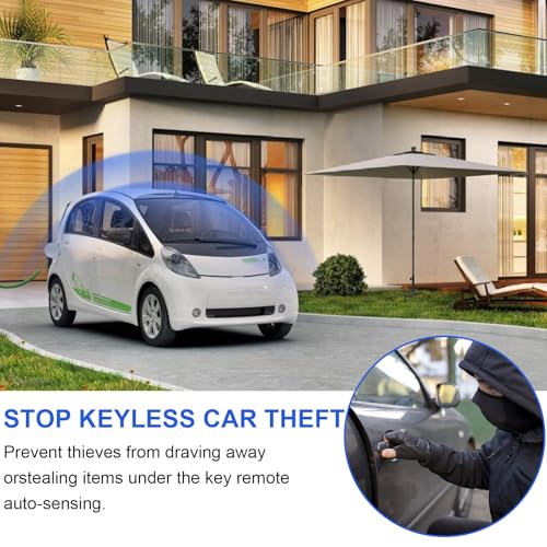 BOODPET Faraday-Box zum Schutz vor Keyless Entry – Hochwertige RFID-Signalabschirmungshülle aus Leder mit 2 Faraday-Beuteln (braun)