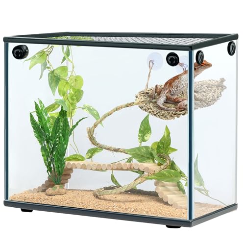 Navaris Decoracion Terrario Reptiles - Accesorios para Terrarios Reptiles Pogonas Dragón Barbudo - Set de 5X Piezas Decorativas y Juguetes para Terrario Reptil DYI