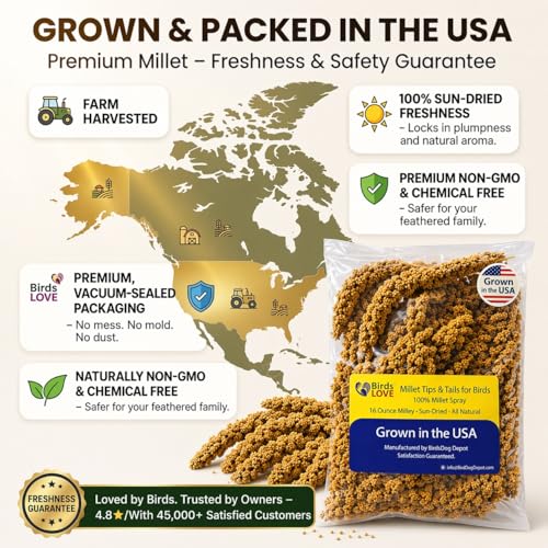 Birds LOVE Millet Tips & Tails for Birds - Parakeets, Cockatiels, Lovebirds, Finches, Budgies, Canaries, Cockatoos - Natural & Healthy Millet for Birds - Parakeet Food & Treats for All Parrots, 1lb - Image 5