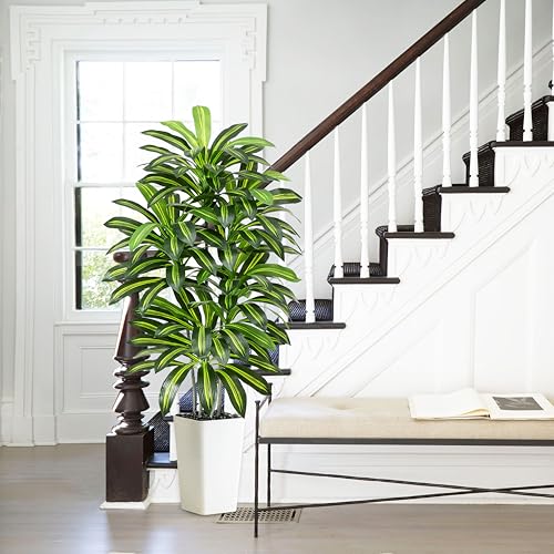 Artificial Dracaena Plant Indoor 5FT Fake Tree with White Tall Planter, Tall Fake Floor Plant in Pot, Artificial SilkPlant for Home Decor Office Living Room Porch Patio Housewarming(5 Trunks 150CM) - Image 3