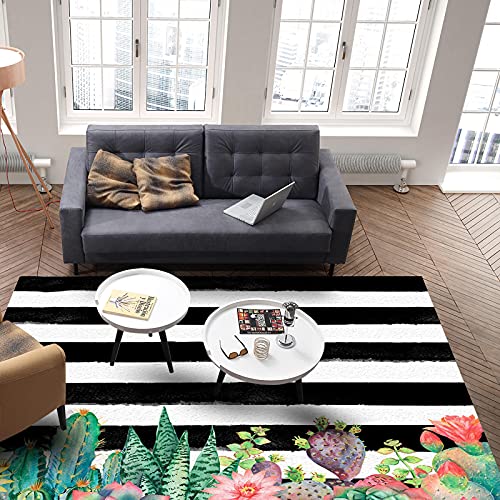 Olivefox 3X5 Feet Floor Mat Area Rug, Cactus Watercolor Black And White Stripes Runner Indoor Carpet, Non Skid Rug Accent For Living Room, Hallway, Kitchen, Office Hsm-2021-5-13-Jjxt-Shzf02827Mdkaolx #TOP3