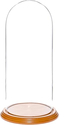 Miniatura 9 de Plymor Campana de cristal para exhibición de 5.5 x 13 pulgadas en forma de domo