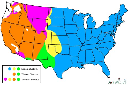 Jcs Wildlife Ultimate Eastern And Western Bluebird House With Universal Mounting Pole Kit - Garden Birdhouse And Pole Combo (Blue And Gray) #TOP7