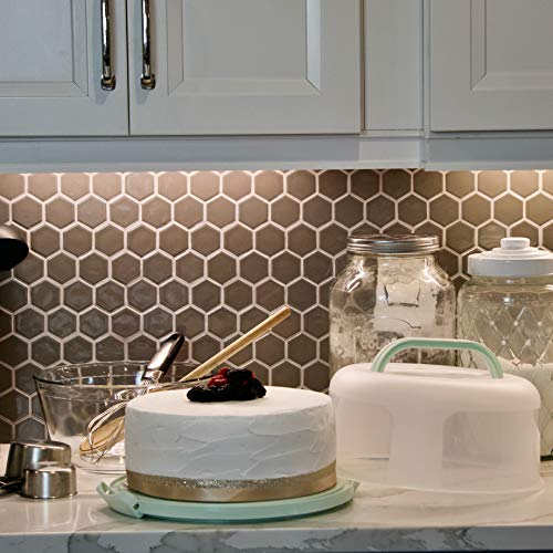 Top Shelf Elements 001 Round Cake Carrier Two Sided Cake Holder Serves As Five Section Serving Tray thumb #4