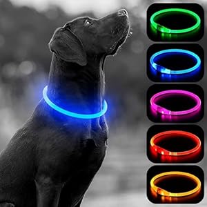 EVABRIS® Collar Luminoso Perro Recargable por USB, Resistente al Agua, Collar Perro Grande Pequeño y Mediano, 3 Modos de Luz, Tamaño Ajustable para Cada Mascota (Azul)