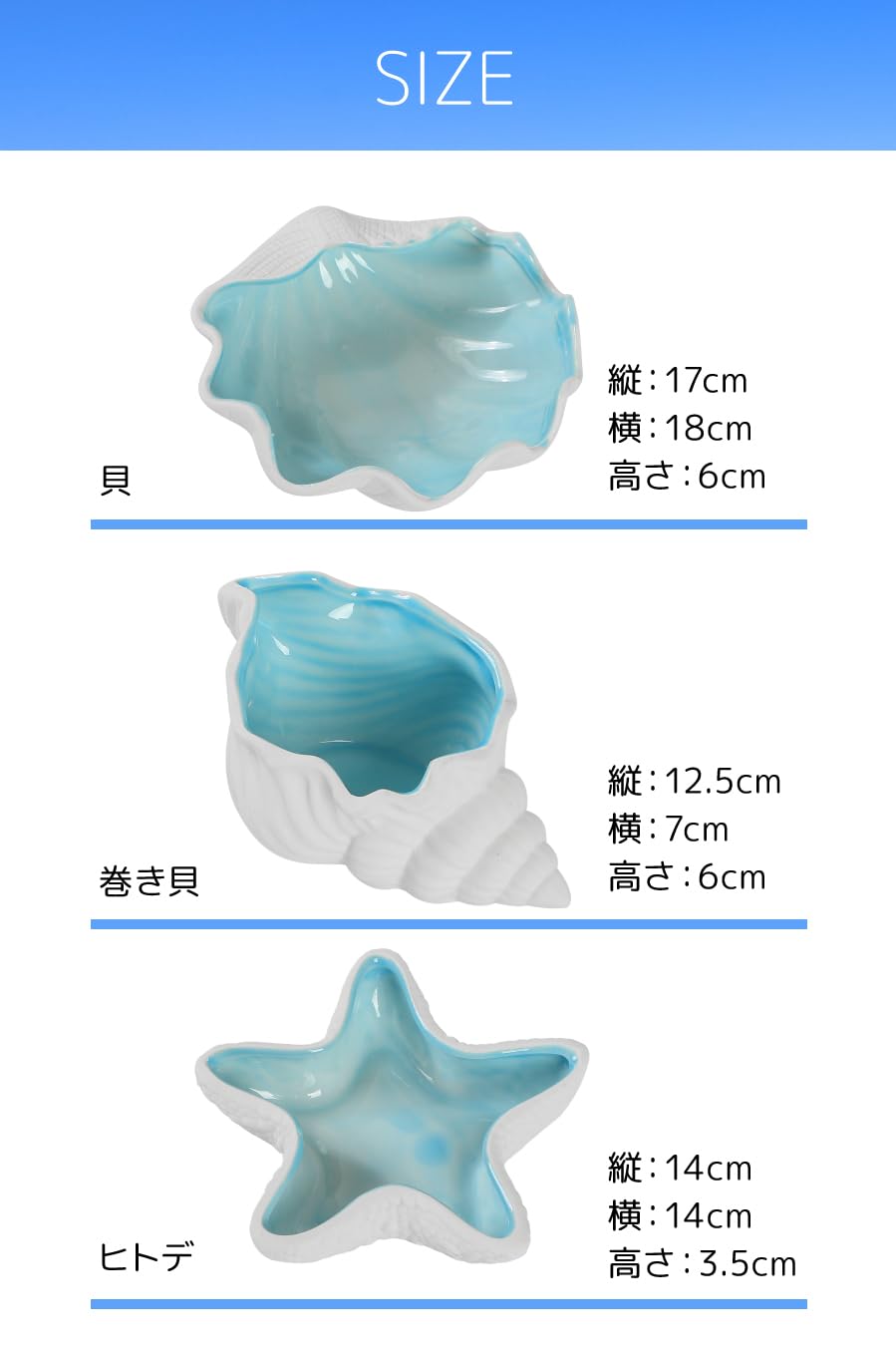 Amazon｜All Bright 貝殻小物入れ 貝殻 小物入れ 置物 トレイ