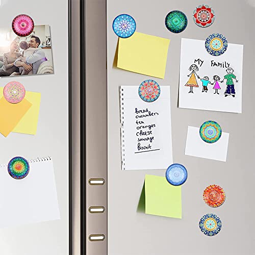 RtottiM 24 Pezzi Calamite da Frigorifero in Vetro