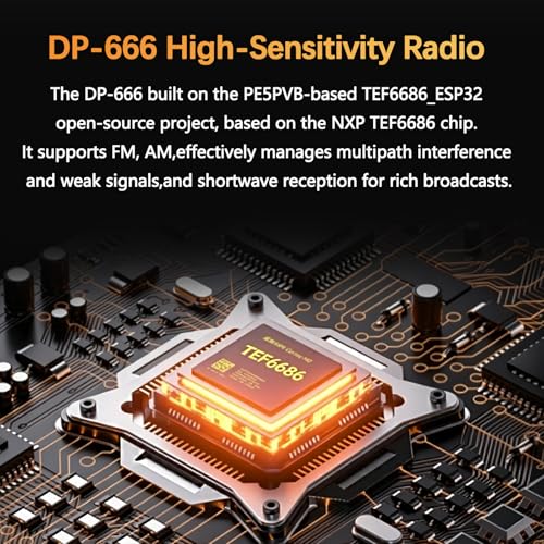 Radio DSP Full Band DP-666 2.8 pulg Pantalla color 5000mAh miniatura 3