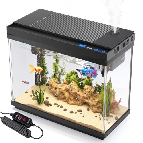 

<h3>2.4 Gallon Fish Tank Aquarium Starter Kit</h3>
<p>” /></p></div>
<p>        <a href=