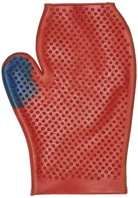 Nootie Toys (Rubber Glove) (B0BYZS67YK) Amazon Price History, Amazon Price Tracker