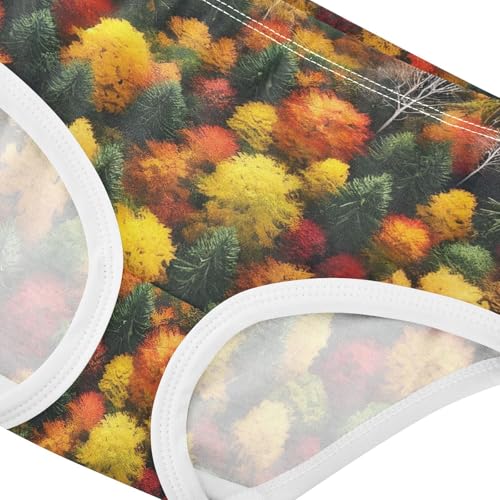Autumn Forest Colors Girls Underwear Toddlers 2t Cotton Cute Panties Girl Funny Kids Undies Briefs4