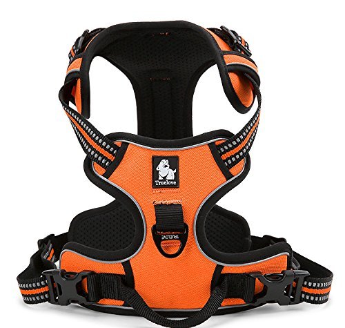 expawlorer dog harness