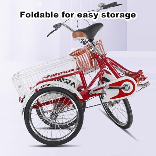 Bicicleta Carga 20 Pulgadas para Adultos con Canasto miniatura 2