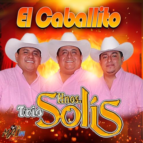 El Caballito Bicicletta Elettrica