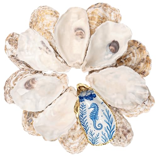 LAMIVORA 30Pcs 4-5 Inch Concave Large Oyster Shells for Crafts