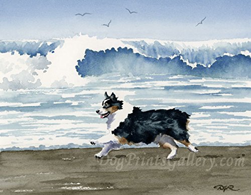 Australian Shepherd on the Beach Art Print by Watercolor Artist DJ Rogers