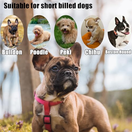 Französische Bulldogge Maulkorb, Maulkorb Französische Bulldogge, Hundemaulkorb mit Kurzer Schnauze, Maulkorb für Hunde mit Abgeflachter, Maulkorb Kleine Hunde, Anti Biting Kauen Bellen