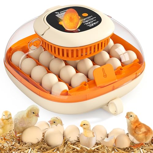 [2024 Upgrade] 25 Egg Incubator, Automatic Egg Turner with Thermometer Seat and Humidity Control, Egg Candler, 360° View with Clear Window, Incubators for Hatching Chicks (Sunlit Orange)
