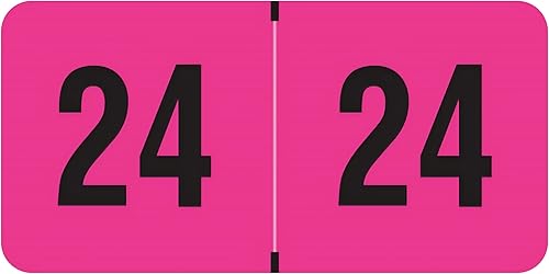 Doctor Stuff - Calcomanías del año 2024, serie fluorescente, etiquetas de año de color rosa floro para carpetas de archivos con pestañas finales,