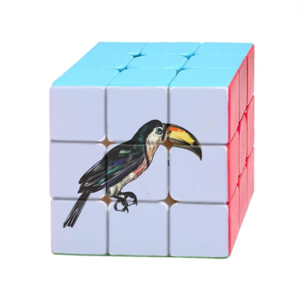 Painting Toco Tropical Bird Magic Cube Puzzle 3x3 Toy Game Play